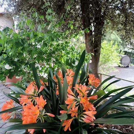 Апартаменты Popoltaio-schiacciato Sleeps 4 Pool Air Con *